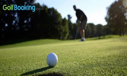 Bật mí nguyên tắc của kỹ thuật putting golf chuẩn xác nhất