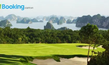 Kinh nghiệm đặt sân golf cho người mới chơi chi tiết nhất