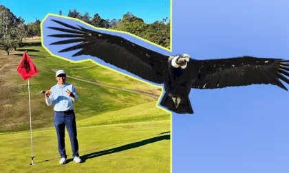 Condor Trong Golf Là Gì?