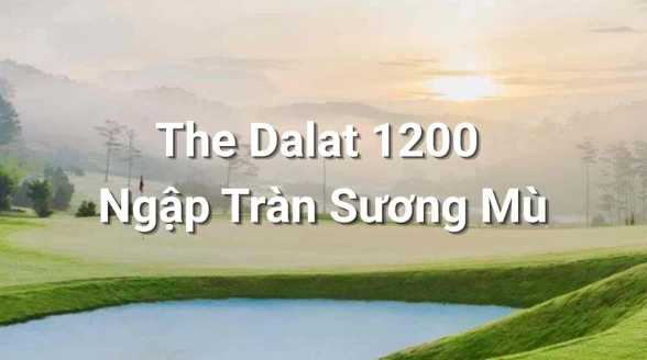 Thể Lực Của Bạn Liệu Có Đủ Trụ Vững Tại The Dalat 1200 Ngập Tràn Sương Mù?